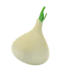 Onion