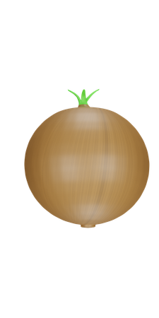 Onion  3D Icon