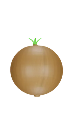 Onion  3D Icon