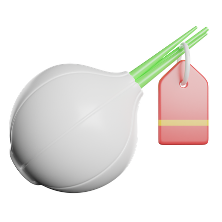 Onion  3D Icon