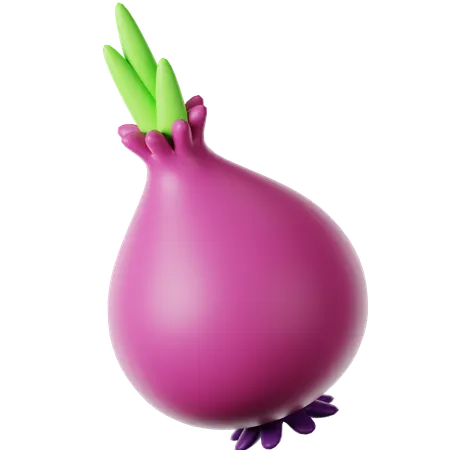Onion  3D Icon
