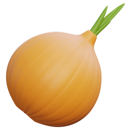 Onion  3D Icon