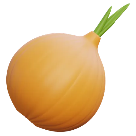 Onion  3D Icon