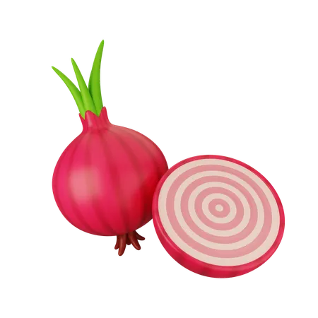 Onion  3D Icon