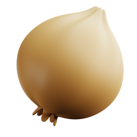 Onion  3D Icon