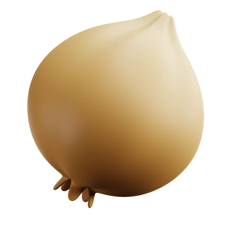 Onion  3D Icon