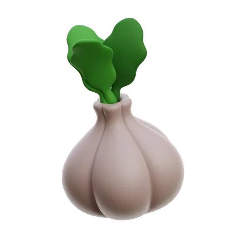 Onion  3D Icon
