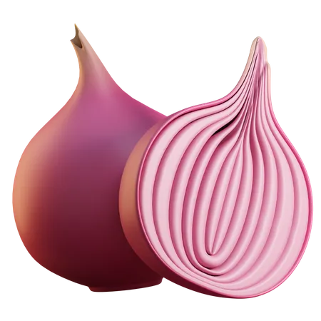 Onion  3D Icon