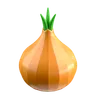 Onion