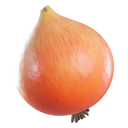 Onion  3D Icon