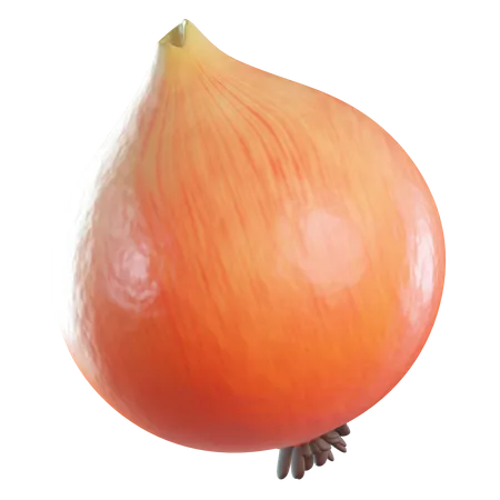 Onion  3D Icon