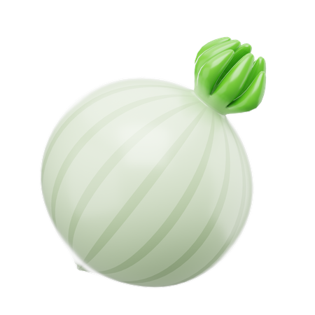 Onion  3D Icon