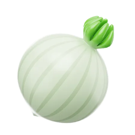 Onion  3D Icon