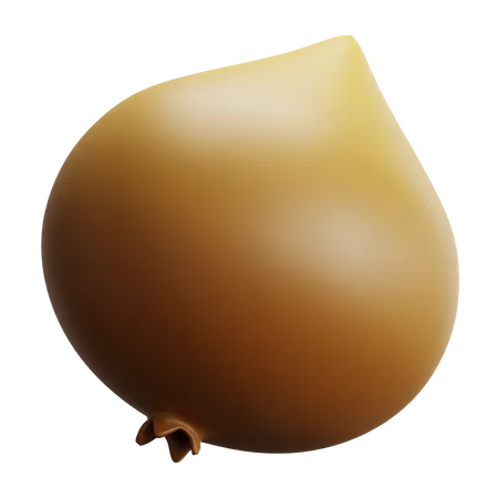 Onion  3D Icon