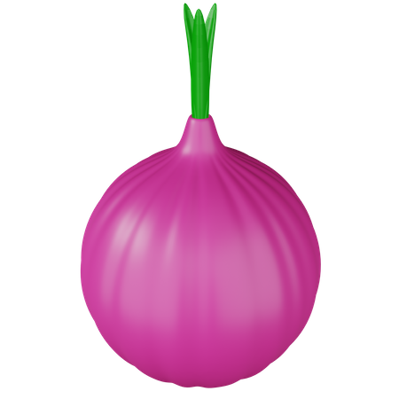 Onion  3D Icon