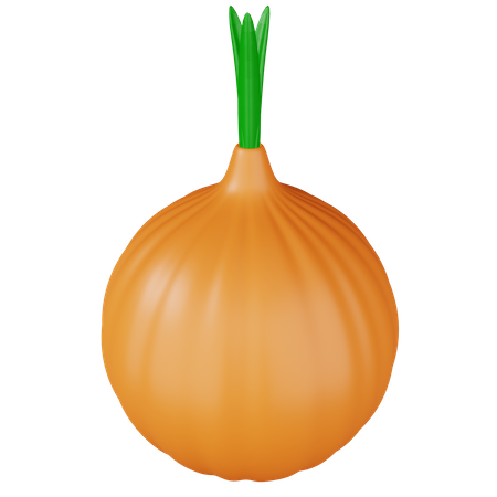 Onion  3D Icon