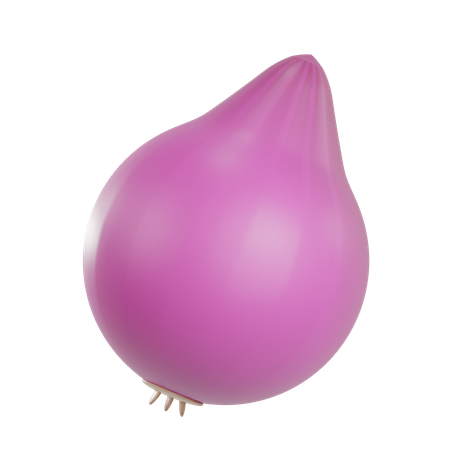 Onion  3D Illustration