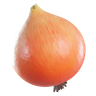 onion 3d illustration