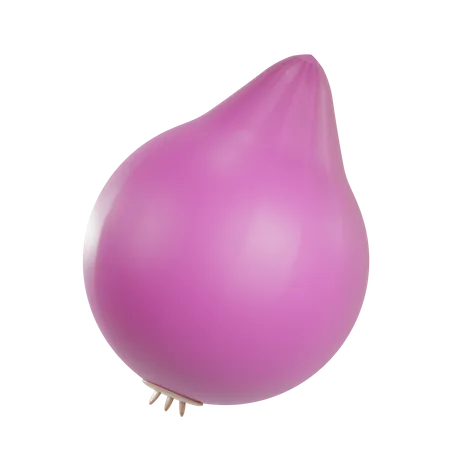 Onion  3D Illustration