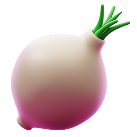 ONION BOMBAI  3D Icon