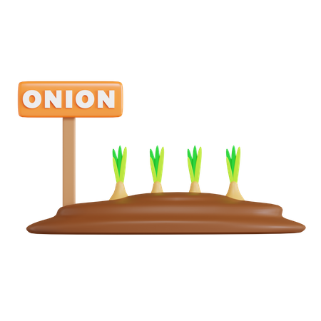 Onion Field  3D Icon