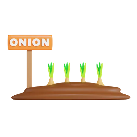 Onion Field  3D Icon