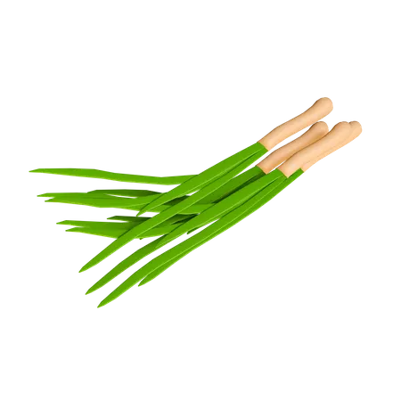 Onion Leaves  3D Icon