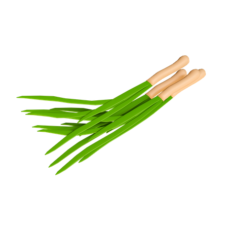 Onion Leaves  3D Icon