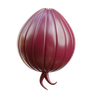 graphics of onions
