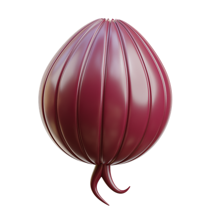 Onions  3D Icon