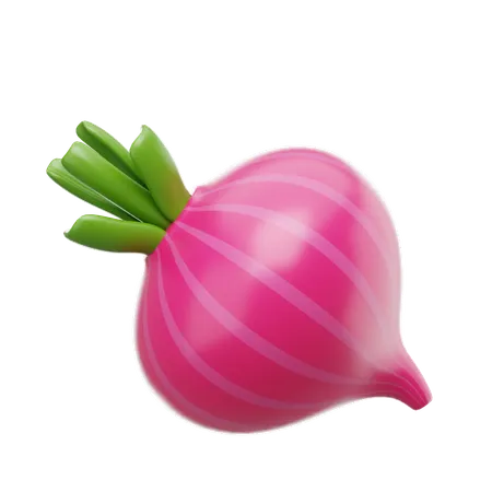 Onions  3D Icon