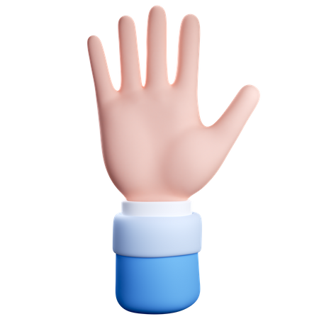 Open Five Finger Hand Gesture  3D Icon