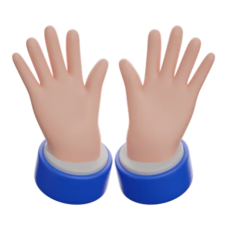 Open Hands Sign  3D Icon
