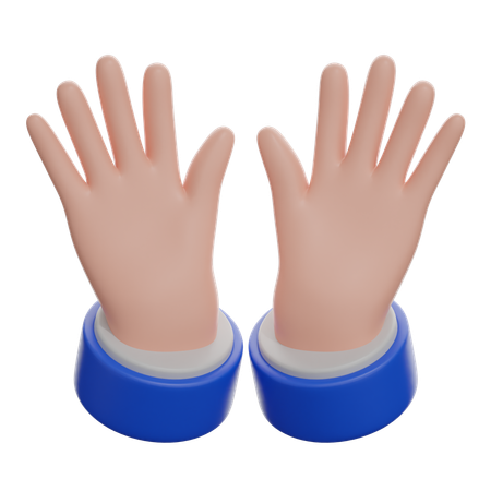 Open Hands Sign  3D Icon