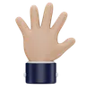 Open Palm  Hand Gesture