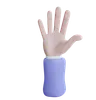Open Palm Hand Gesture