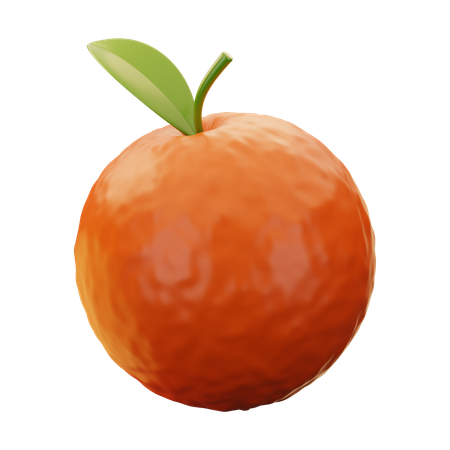 Orange  3D Icon