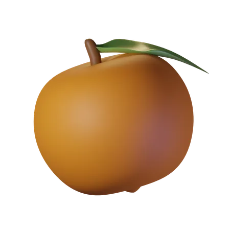 Orange  3D Icon