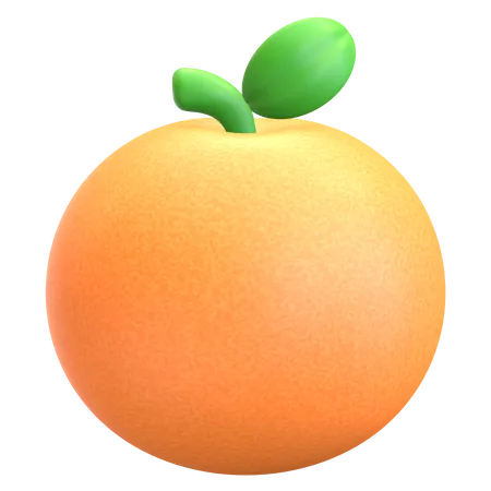 Orange  3D Illustration