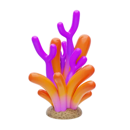 Orange And Coral  3D Icon