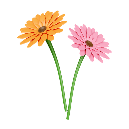 Orange And Pink Flower  3D Icon