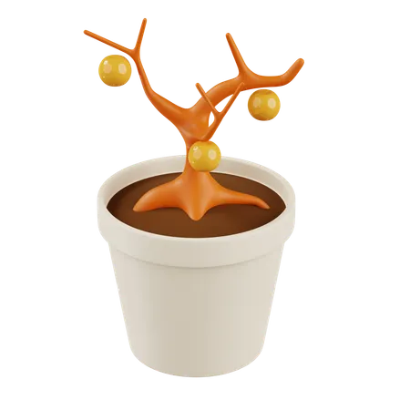 Orange Bonsai Plant  3D Icon