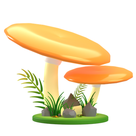 Mushroom Orange Flat  3D Icon