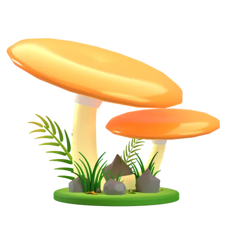 Mushroom Orange Flat  3D Icon