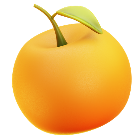 Orange Fruit  3D Icon