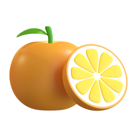 Orange Fruit  3D Illustration