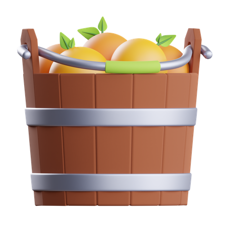 Orange Fruits Bucket  3D Illustration