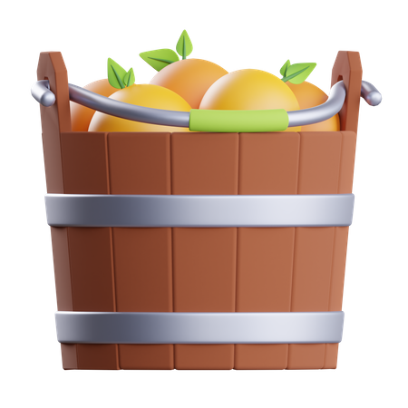 Orange Fruits Bucket 3D Illustration
