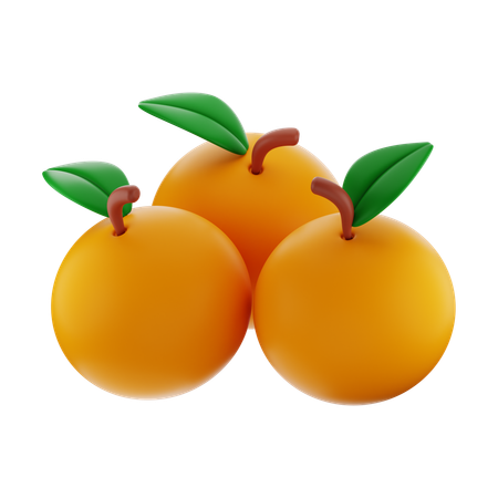 Oranges chinoises  3D Icon