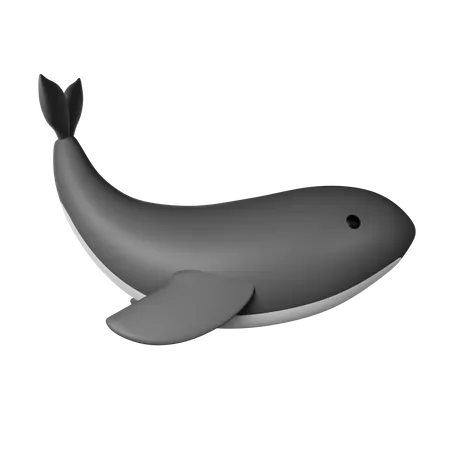 Orca  3D Icon